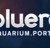 Blue Reef Aquarium P...