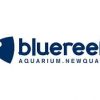 Blue Reef Aquarium N...