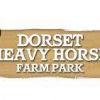 Dorset Heavy Horse F...